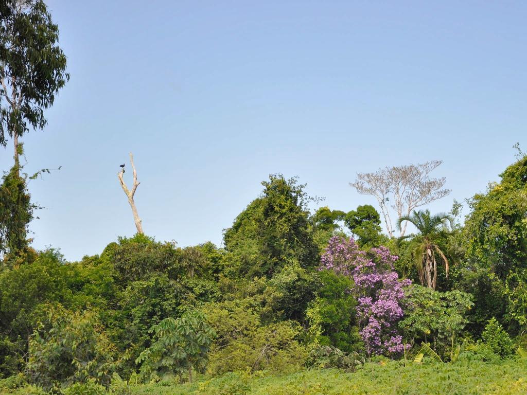 Village Mata Encantada Santo Andre  Luaran gambar